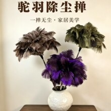 可伸缩鸵鸟毛掸子除尘扫灰家用汽车灰尘刷清理神器鸡毛掸装饰摆件