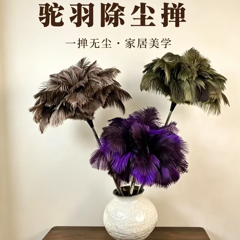 Retractable ostrich feather duster for dust removal, household and car dust brush, cleaning tool, feather duster, decorative ornament Retractable ostrich feather duster for dust removal, household and car dust brush, cleaning tool, feather duster, decorative ornament