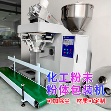 东莞25公斤称重粉体包装机 全自动称重多功能粉末包装机 厂家定制