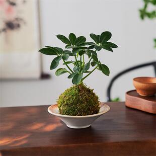 _ľ̦\ˮֲ˃՚ʽUֲ˷ؔ