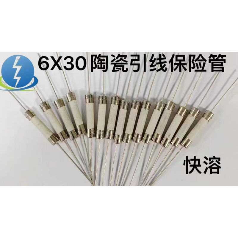 6X30mm陶瓷引线保险丝管带脚保险丝快溶陶瓷保险丝管双帽电流250V