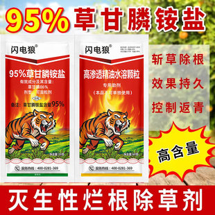 95%�ݸ�좳��ݠ��������݄����s�ݲݸ���@�}�ֵع��@�ĵس��݄�