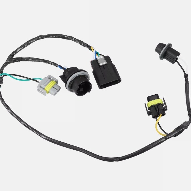 2024-05-31 15:18:11.jpg