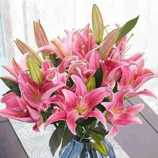 Perfume Lily Multi-Headed Flower Bouquet Wholesale Yunnan Kunming Base Freshly Picked Straight Hair Water-Raised Flowers Real Flowers