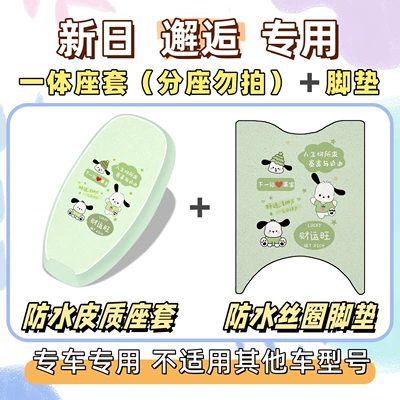 + Floor Mat, Silk Loop — Electric vehicle foot mat