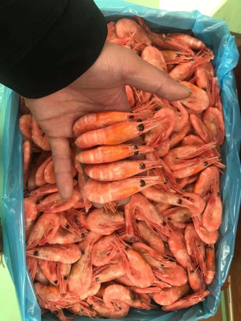 wholesale Arctic sweet shrimp Buffet hotel Sashimi fresh  One piece On behalf of