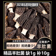 新鲜野生云南羊肚菌汤料包干货野生500g礼盒菌子包装盒一斤装散装