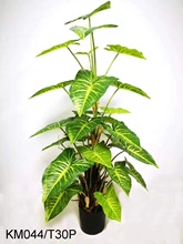 ݶƷGֲ滨F˽~PβPβ