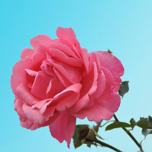 �����¼������������ش󻨝����ļ��̨ͥԺ���Զ༾�_���ܾGֲ��