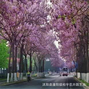 ���羳��؛����ͩ��N���p��ľ�|ľ�Ę�ľ�׻������ͩ��ͩ�乤��
