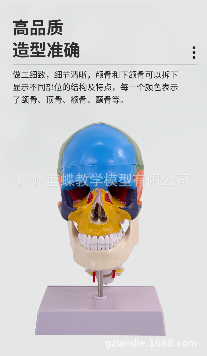 彩色头骨-详情页_05