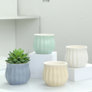 ������⻨���մ�������С̖����͸��Ĵָ������С���؃r���Q���l