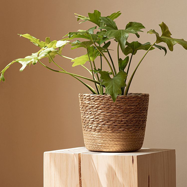 北欧風天然海草編み植木鉢藤編み植物緑植鉢家庭装飾花器花かご収納かご|undefined