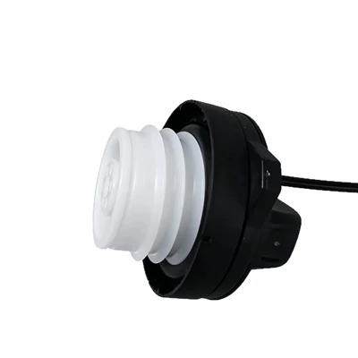 Cap, Tank cap