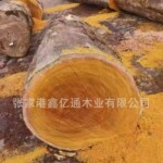 黄硬木 黄胆木 家具装修园林古建材雕刻防腐木料楼梯扶手实木黄檀