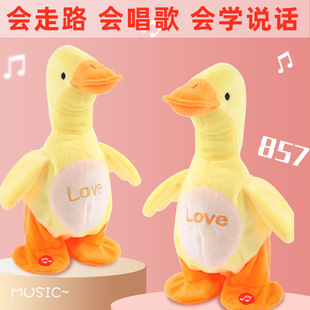 ɳ����x�����fԒ��·���������ë�q������ż�Y����Ȥ�������