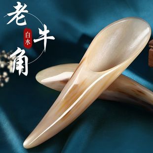 ��Ȼţ�ǹ���Ͳ���������Ժ��Ħ���沿�������j�cѨȫ��ͨ�ô�̖