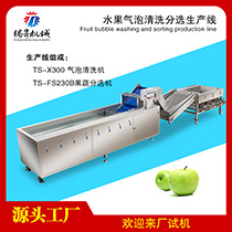 水果气泡清洗分选生产线.jpg