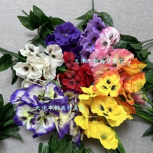 ����5����ɫ��С�ѻ��ӼҾƵ������쾰�����c�b廨���l