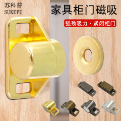 家具キャビネットのドアの磁気は金色の炭素の灰色の強い磁石のドアを吸い込みます。