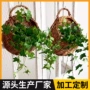 盆栽挂式定制壁挂花篮