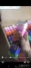 12 colors, 30 ml, 110 gram
