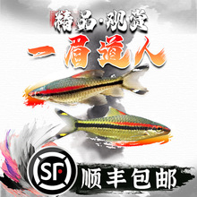һü�����~�tü�����~�ݸ�Ⱥ���~С���~���w�Ꭷ�^�p�~��β���~