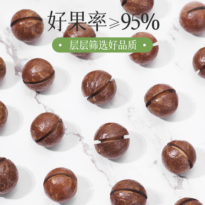 2023 New Hawaii Fruit Original Flavor Cream Flavor 500g South African Nut Bulk with Large Opening