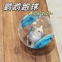 一件代发批发鹦鹉跑球仓鼠玩具小鸟跑球芦丁鸡自嗨运动滚球外带
