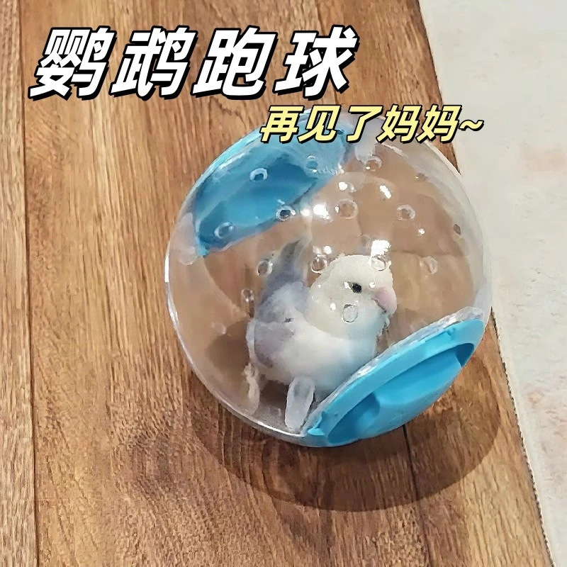 一件代发批发鹦鹉跑球仓鼠玩具小鸟跑球芦丁鸡自嗨运动滚球外带|undefined