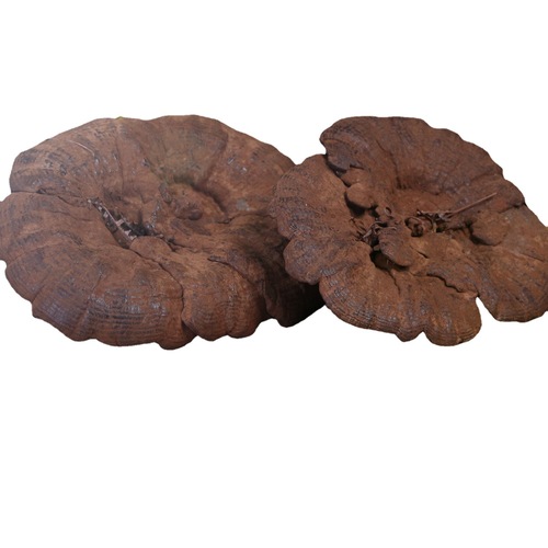 Product Origin Supply Imitation Wild Tremella Purple Ganoderma Black Mushroom Slices with Grass Attached Spore Powder Not Bitter Wild Cultivation 250g