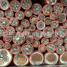 矿物绝缘电缆.耐油电缆  发光电缆  盾构机电缆北京东方野狼厂家