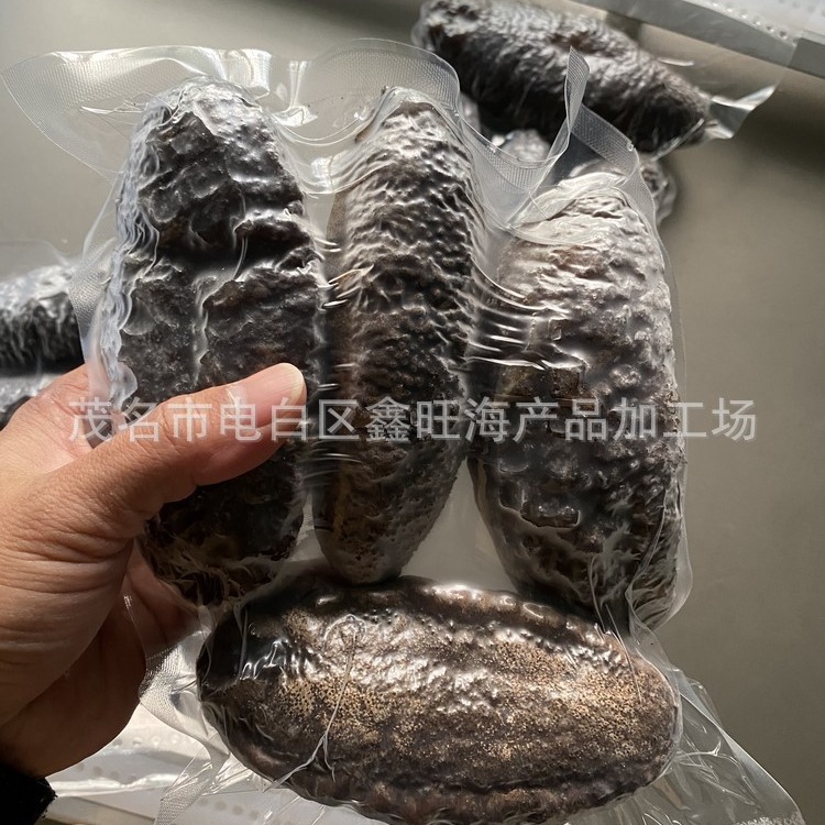 白肚靴参溪参白底靴参即食靴龟参水发海参深海大乌参厂家批发冷冻