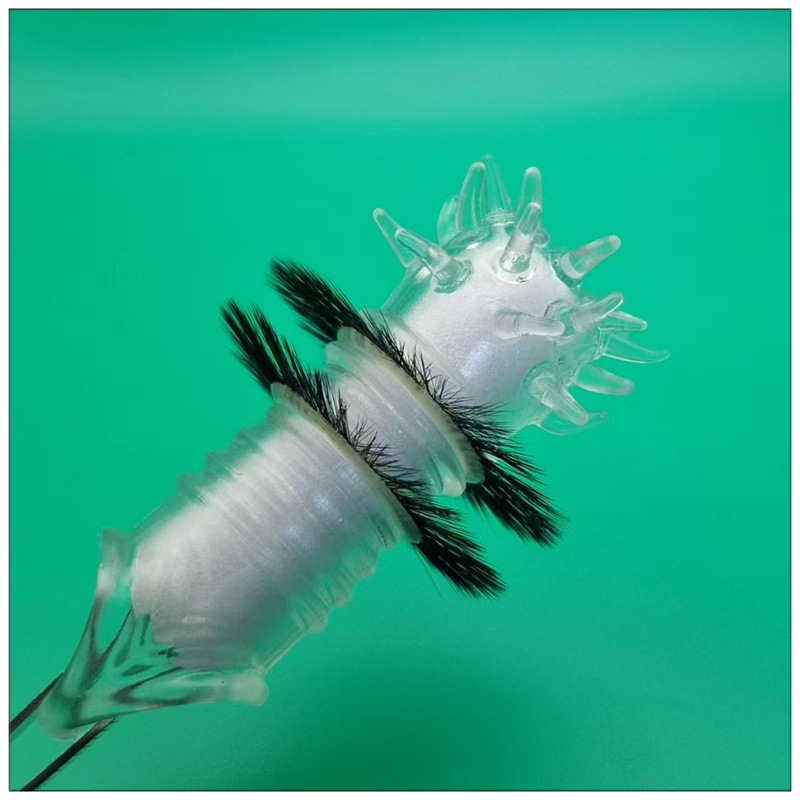 인기 팬시 세트 [투명 컬러] + 양눈 서클 2겹