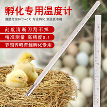 小鸡孵化专用温度计 孵化箱孵化器水银温度计高精度30-40精度0.1