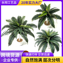 �羳����ާGֲ��˹��ާ�~ֲ��b��쾰�[�������~�ٻ�����