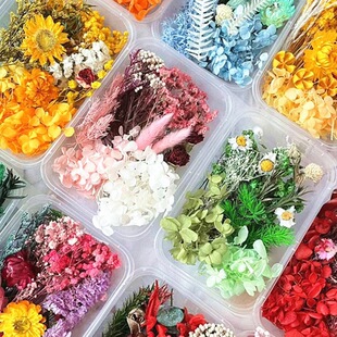 �������ɻ����ϰ�DIY����N���F�ȸ��� �F����ӻ�ˇ�n��h���İ�