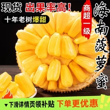 海南菠萝蜜当季新鲜水果包邮黄肉菠萝蜜一整个水果整箱