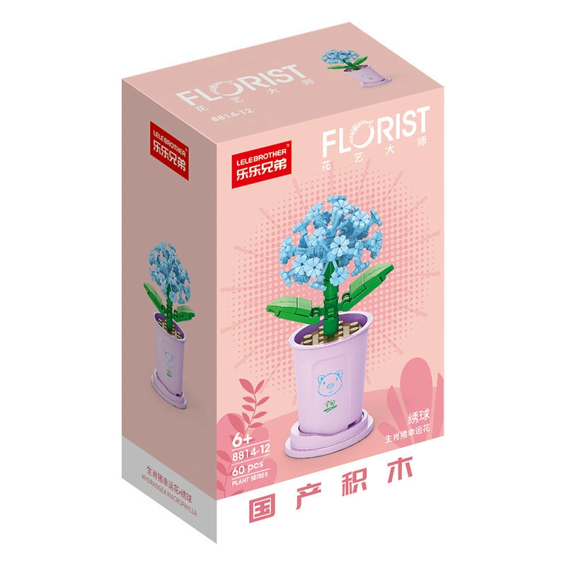 Brother, constructor, toy, bouquet, Birthday gift