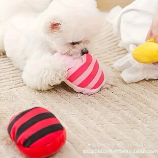 Pet Simulation Plush Slippers Toy Dog Blow-resistant Sound-making Toy Small and Medium-sized Dog Molar Supplies