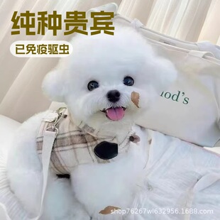 ���Ƽ��N�F�eȮС�Ͳ豭Ȯ̩��С�͌������pȮ��HȮ���w��������