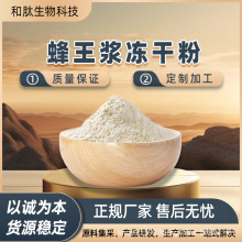 蜂王浆冻干粉 葵烯酸6% 蜂王浆提取物 蜂王浆粉 可分装 和肽工厂