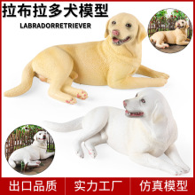 儿童动物仿真模型实心大号拉布拉多犬玩具认知狗狗柯基博美犬摆件