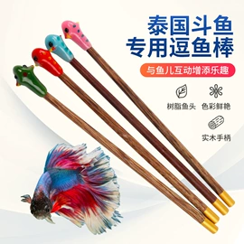 鱼缸;造景/装饰;其它水族用品