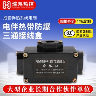 Electric Heating T-Type Junction Box, Explosion-Proof Power Supply Terminal Box, Heating Belt Three-Way Connection Box, Explosion-Proof Specifications Are Complete
