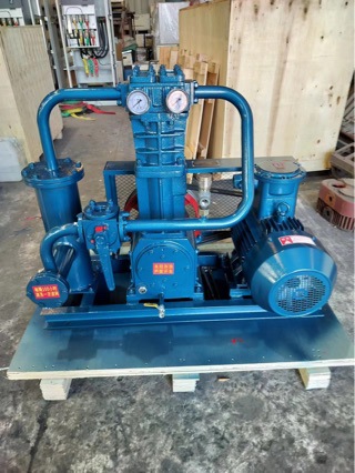 Zw0.8/10-16 Liquefied Gas Compressor Air Compressor Manufacturer's Special Offer for Special Gas Compressor Air Pump