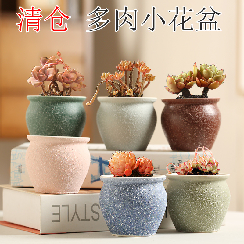 多肉花盆陶瓷特价创意个性清仓拇指盆小花盆简约粗陶彩绘透气流釉