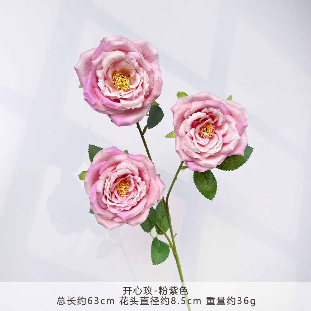 MJ-开心玫-粉紫
