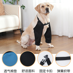 �羳�����oϥ�����o���o�⌙�����g�܂��P�����o�׹��������o����