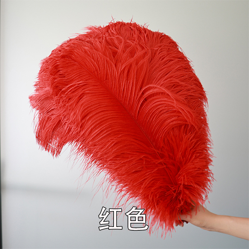 Fabricantes de pelaje de avestruz 50 - 55CM boda guía de la mesa flor de plumas de avestruz adornos de red pared roja plumas de espectáculo de escenario image 16